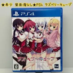 ★希少 盤面傷なし★PS4 ラズベリーキューブ