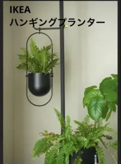 新品　イケア　チリストローン　CHILISTRAN ハンギングプランター　黒のサムネイル
