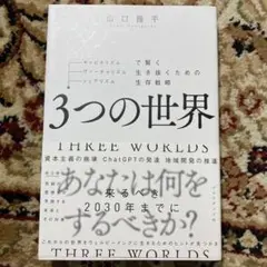 3つの世界 = THREE WORLDS : キャピタリズム・ヴァーチャリズム…