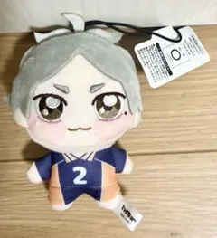【未使用品】ハイキュー!! ちょぴぬいぷち 菅原孝支