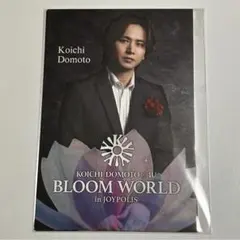 ジョイポリス ふぉ〜ゆ〜 堂本光一 - メルカリ