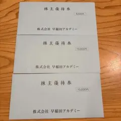 【安心、匿名配送】株主優待券 早稲田アカデミー 25000円分 5000円×5