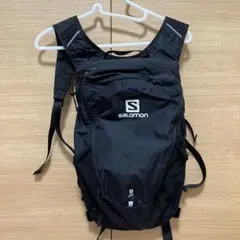 サロモン　トレイルブレーザー10