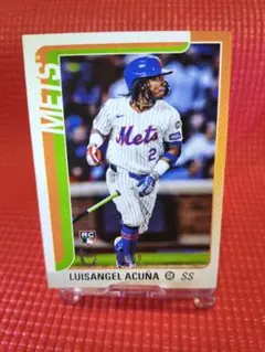 ルイサンヘル・アクーニャ 99シリ 2025 Topps