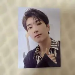 SEVENTEEN ウォヌ　トレカ