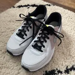 Nike Air max エクシー スニーカー グレー/ピンク
