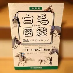 【非売品】白毛図鑑 白毛ミニ図鑑 セット JRA競馬博物館