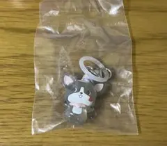 JOCHUM ジェオチャム チュララ めじるしアクセサリー