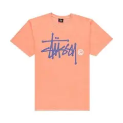 Stüssy オレンジ グラフィックTシャツ