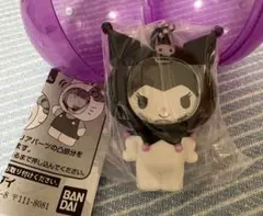 サンリオキャラクターズ　フォトフレームマスコット　クロミ