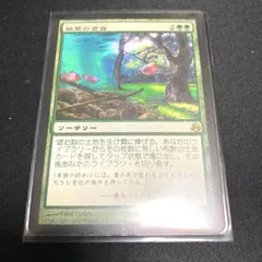 MTG 風景の変容