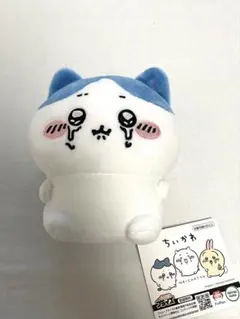 ちいかわ ぬいぐるみ 約15cm 白/青