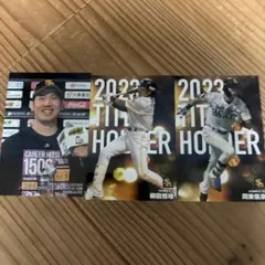 2023年カルビー タイトルホルダーカードセット
