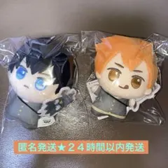 ハイキュー サンリオキャラクターズ ちびぐるみ　 2種　日向&影山