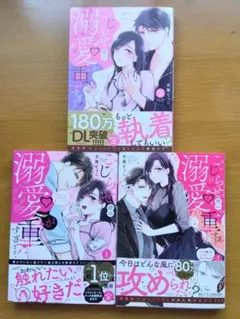 TLコミック　こじらせ彼の溺愛が重すぎます! 1～3のサムネイル