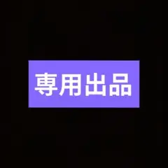専用出品