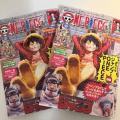 ワンピース マガジン 第20号 ルフィ プロモ 特製カード付　2冊