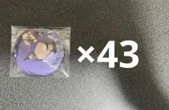 忍たま乱太郎 竹谷八左ヱ門 ドクタケ忍者隊 最強の軍師 キャラバッジコレクション