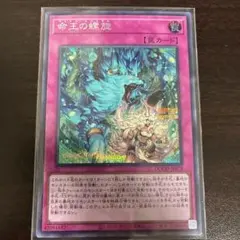 2026年最新】命王の螺旋の人気アイテム - メルカリ