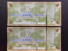 箱根ガラスの森美術館 ご入館招待券 2枚セット(期限2027/2/28)のサムネイル