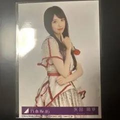 矢田萌華　生写真　ビリヤニ　乃木坂46
