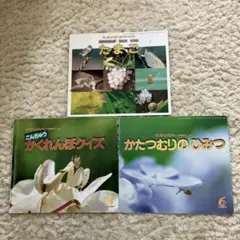 匿名配送　送料込み　幼児向き本　サンチャイルド・ビッグサイエンス 3冊セット