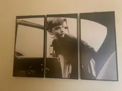 良品】IKEA アートパネル オードリーヘプバーン 90cm 希少 廃盤 - メルカリ