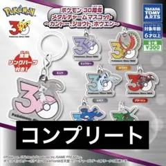 新品未開封】ポケモン 30周年 メタルチャームマスコット 全7種