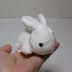 うさぎのぬいぐるみ Little Beans ホワイト　２５個のサムネイル