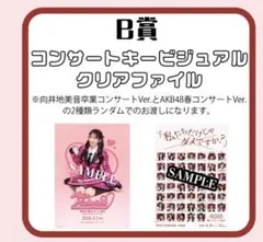 ぽ*読様 AKB48 春コン チャンスくじ スクラッチ ステッカー チェキ 21 AKB48 春コンサート オリジナルステッカー スクラッチ チャンスくじ 27