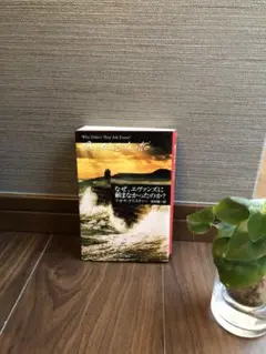 Item thumbnail for item 3d5dc56b-e4f3-430f-ba84-9607341306c8