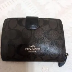 Item thumbnail for item a59e8633-1e62-4d65-8b71-e44cb184e90b