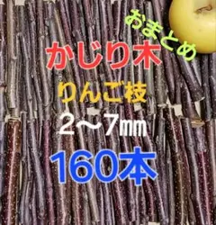 riri様 リクエスト 2点 まとめ商品