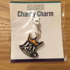 嵐 チャリティーチャーム