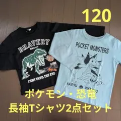 ポケモン 恐竜 長袖Tシャツ 2枚セット 120 水色 黒