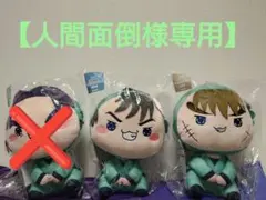 【人間面倒様専用】ふんわり桜もちぴこの段　もちぴこBIGぬいぐるみ