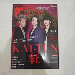 【雑誌美品】ザテレビジョンCOLORS vol.39 KAT-TUN
