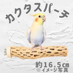 みーちゃん様 リクエスト 2点 まとめ商品