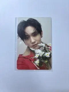 マシホ　トレカ