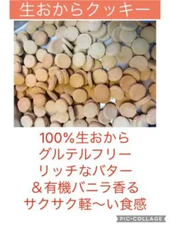 7/13発送100%生おからクッキー70枚リッチなバターとバニラサクサククッキーのサムネイル