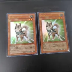 2026年最新】柴戦士タロの人気アイテム - メルカリ