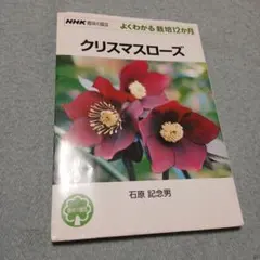 クリスマスローズ 八重咲 種 20粒 - メルカリ