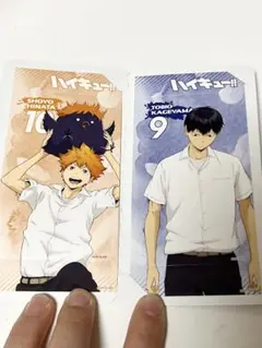 ハイキュー!! 日向翔陽 影山飛雄 ステッカーセット