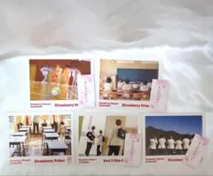 すとぷり　ブロマイド　実写　カード　おみくじ