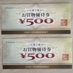 ヤマダ電機お買物 優待券 ¥500 2枚