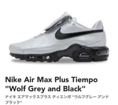 NIKE Air Max Plus Tiempo silver 28