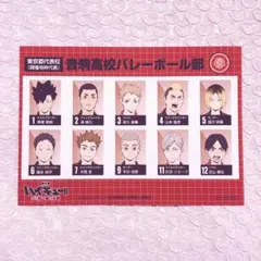 ハイキュー‼︎ ゴミ捨て場の決戦 入場者プレゼント 選手名鑑風ブロマイド 音駒高校
