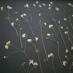 Y様 リクエスト 2点 まとめ商品