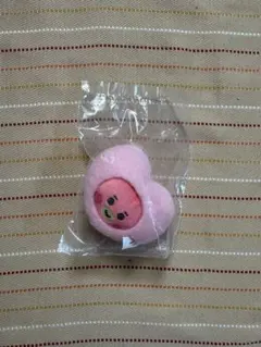 BT21 ぬいぐるみクリップ　TATA