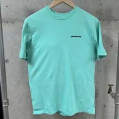 Patagonia tee メキシコ製 P-6 オーガニック XS Tシャツ